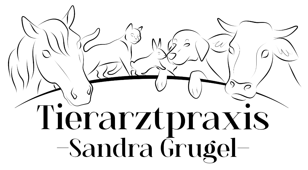 Tierarztpraxis Cunewalde