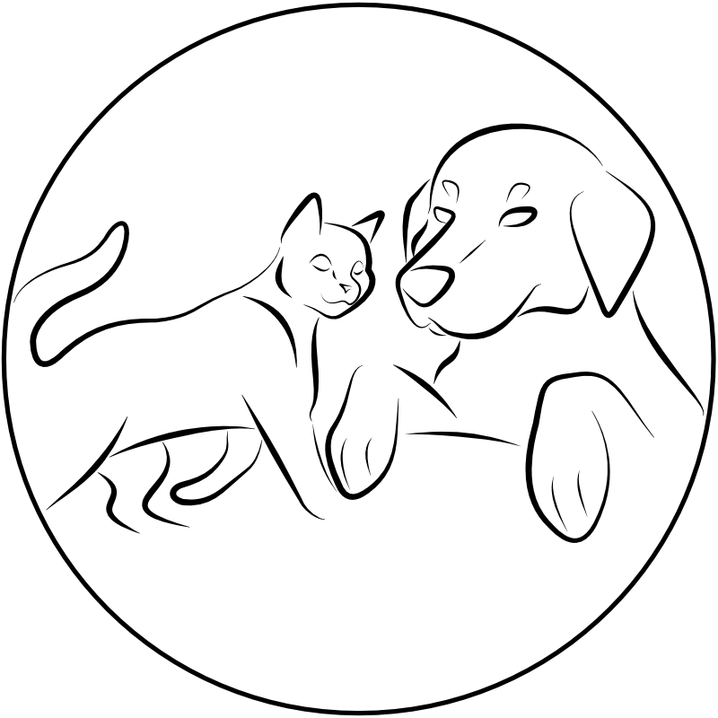 tierarztpraxis-cunewalde-heimtiere