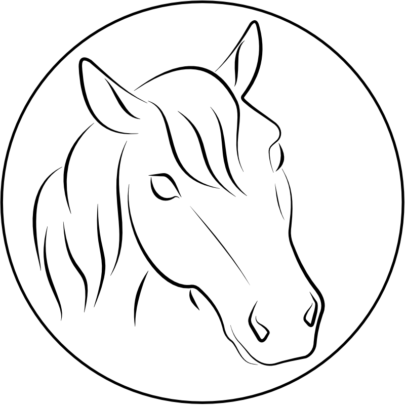 tierarztpraxis-cunewalde-pferde
